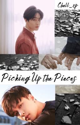 Picking Up the Pieces cover