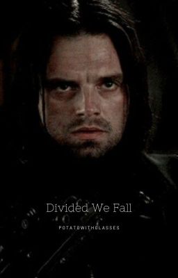 Divided We Fall (Bucky Barnes) cover