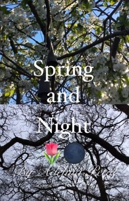 Spring and Night: ACOTAR Fanfic  cover