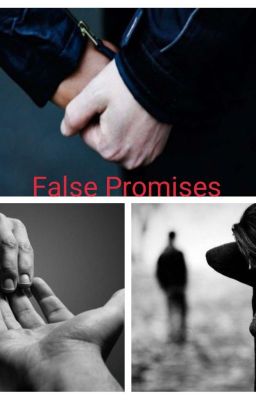 False Promises ( Completed ✔️) cover