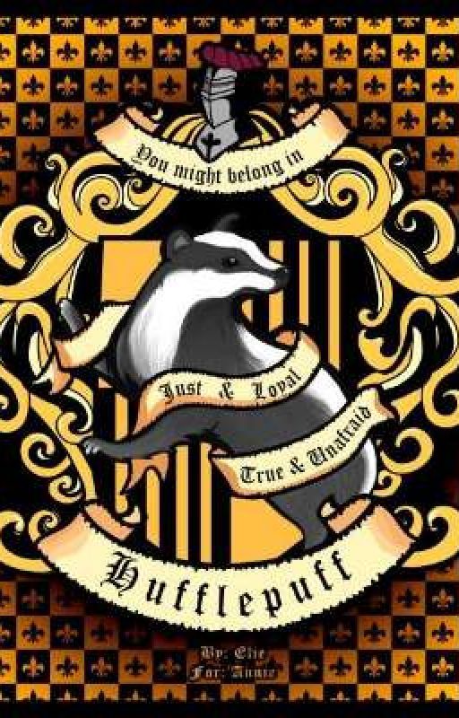 Harry The Hufflepuff by IceMonster96