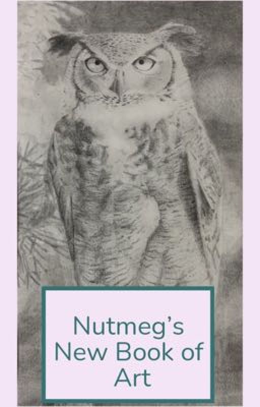 Nutmeg's New Book of Art by _nutmeg_178_