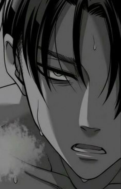 Levi Ackerman x Reader by SunasHoe10