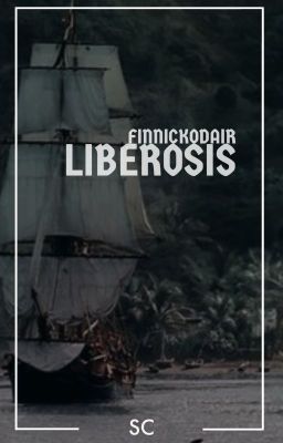 Liberosis  -  The Hunger Games cover