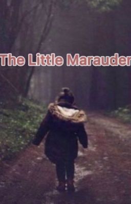 The Little Marauder cover