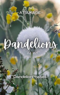 Dandelions | Atsukage cover