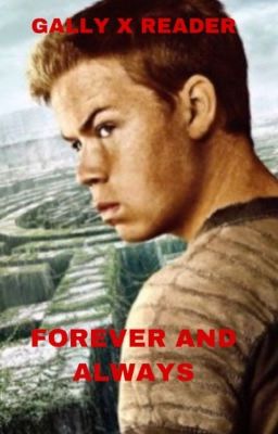 | Gally X Reader | Forever and Always | Tmr | The Maze Runner | cover