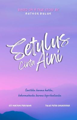 Setulus Cinta Aini 2 cover