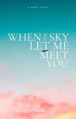 When The Sky Let Me Meet You cover