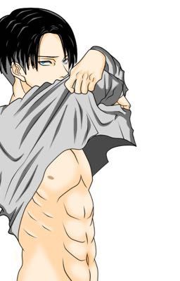 Levi Ackerman X Reader ! LEMON ! cover