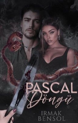 Pascal Döngü ( 18) cover