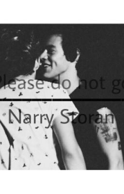 Please Do Not Go||Narry Storan cover