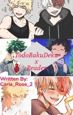 TodoBakuDeku x Reader cover