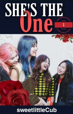 SHE'S THE ONE - SATZU (BOOK 1)  cover