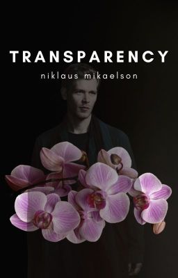 transparency | n. mikaelson cover