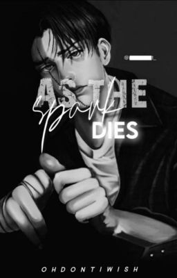 As The Spark Dies | Levi X Reader cover