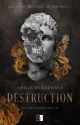 Destruction [DOSTĘPNE W KSIĘGARNIACH] by aaamelia_reads