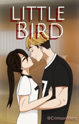 Little Bird (Miya Atsumu x OC) cover