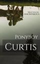 Ponyboy Curtis by kxrezan