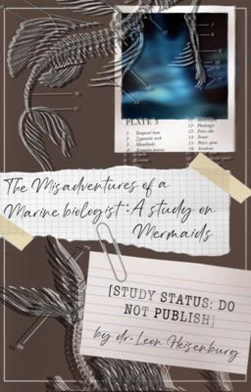 "The misadventures of a marine biologist: a study on mermaids [do not publish] by Thehalfmaskfox