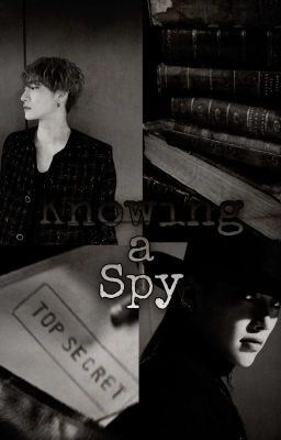 Knowing a Spy cover