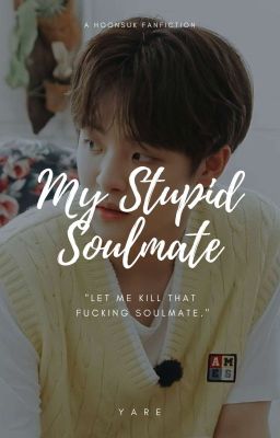 My Stupid Soulmate [✓]  cover