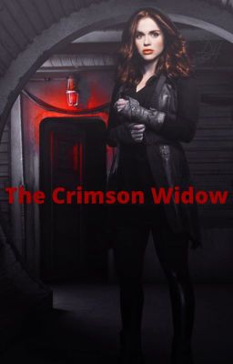 Crimson Widow //Steve Rogers/Bucky Barnes// cover