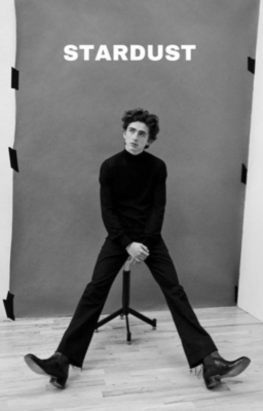 STARDUST | t. chalamet by harrygazing