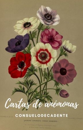 Cartas de anémonas by consuelodecadente