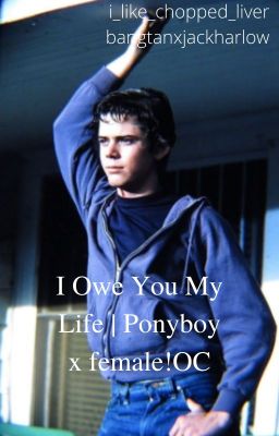 I Owe You My Life | Ponyboy x female!OC  **COMPLETE** cover