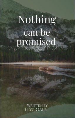 Nothing can be promised cover