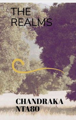 The Realms cover