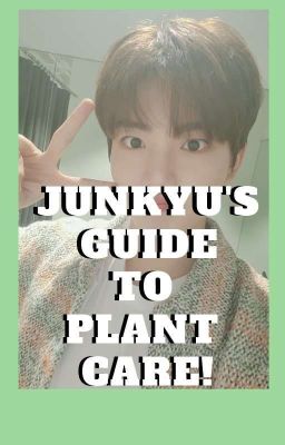 JUNKYU'S GUIDE TO PLANT CARE || TREASURE AU cover