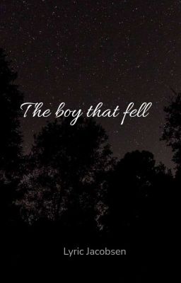 the boy that fell  cover