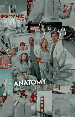 My Life At Grey Sloan Memorial ~ grey's anatomy Y/n S1 cover