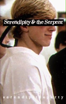 Serendipity & the Serpent cover