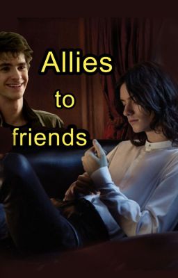 Allies to Friends cover