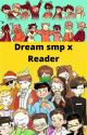 Dream smp x reader sceneries by rileychanwriting