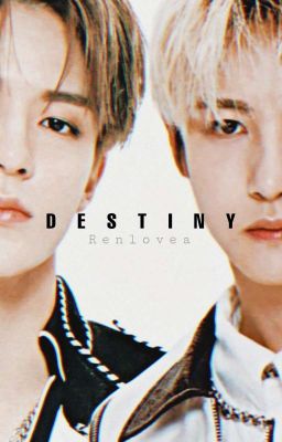 D E S T I N Y ✔ cover