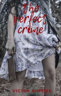 The Perfect Crime cover