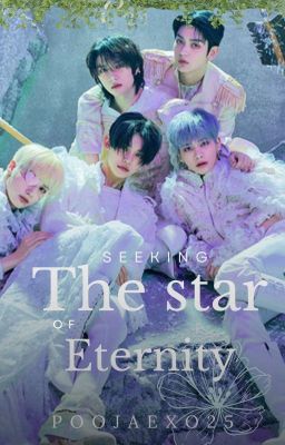 Seeking The Star Of Eternity [ TXT FANFIC ] cover