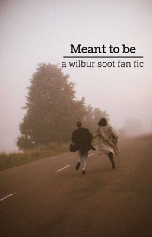 Meant to be (a wilbur soot fan fic) by eri_st