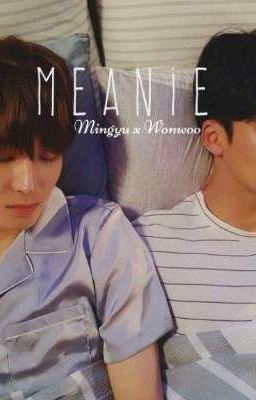  [Meanie] (H) I'm in love with you!!! (Hoàn) cover