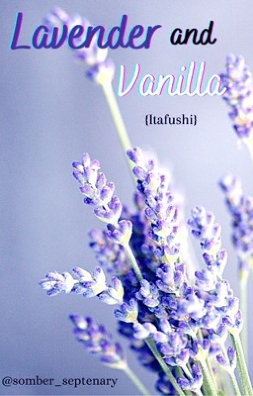 Lavender and Vanilla {Itafushi} by somber_septenary