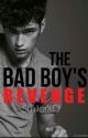 The Bad Boy's Revenge by SmilerXO