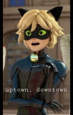 Uptown, Downtown (Chat Noir x Reader) - Book 1 cover