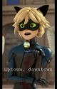 Uptown, Downtown (Chat Noir x Reader) - Book 1 by Itrytoohard24