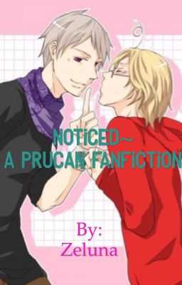 Noticed~ A PruCan fanfiction cover