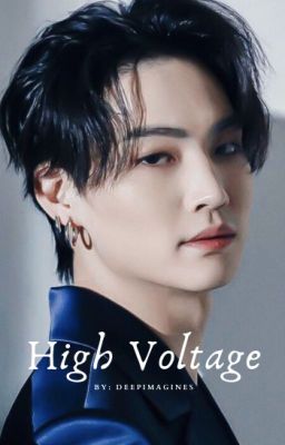 High Voltage cover