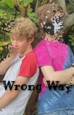 Wrong Way (ranboo x reader) cover